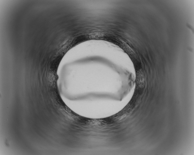 X0000097960523200804141030