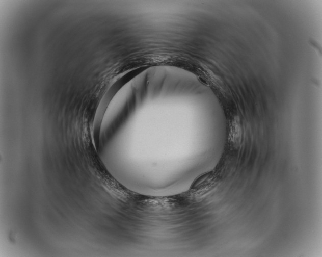 X0000097960524200804141030