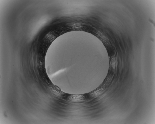 X0000097960526200804141030