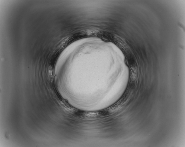 X0000097960527200804141030