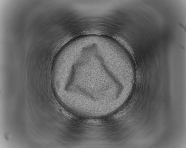 X0000097960529200804141029