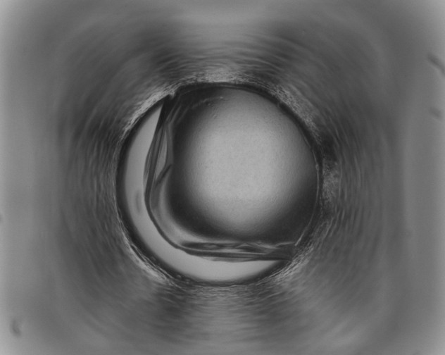 X0000097960530200804141029