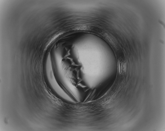 X0000097960531200804141029