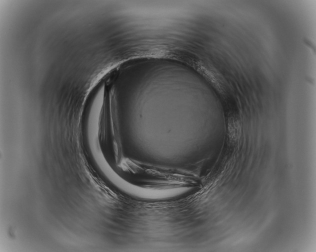 X0000097960532200804141029