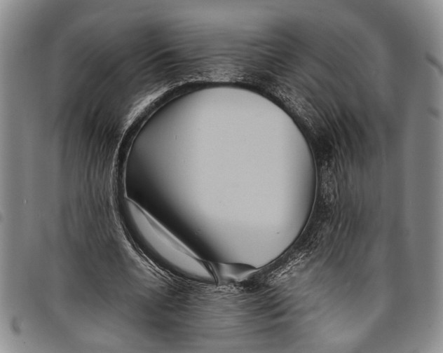 X0000097960536200804141029