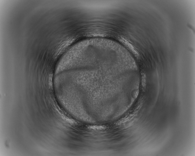 X0000097960537200804141029