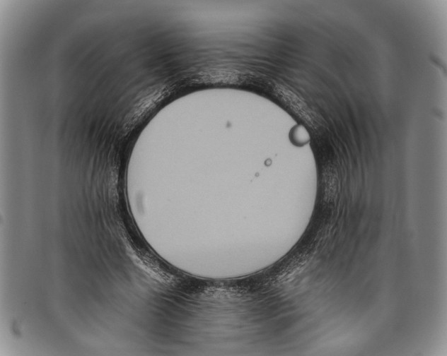 X0000097960538200804141029