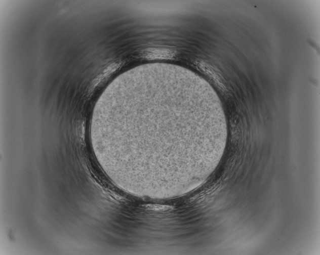 X0000097960539200804141029