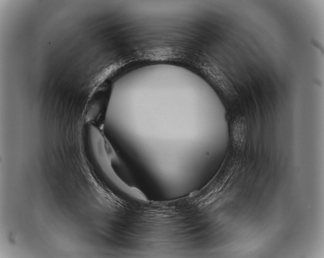 X0000097960540200804141029