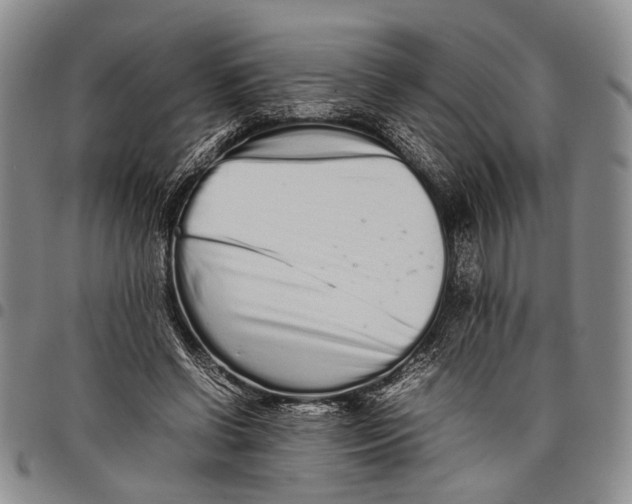 X0000097960542200804141029