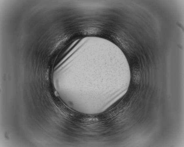 X0000097960543200804141029