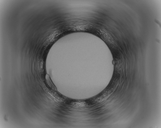 X0000097960548200804141030