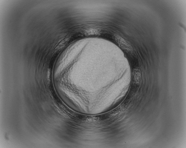 X0000097960550200804141030