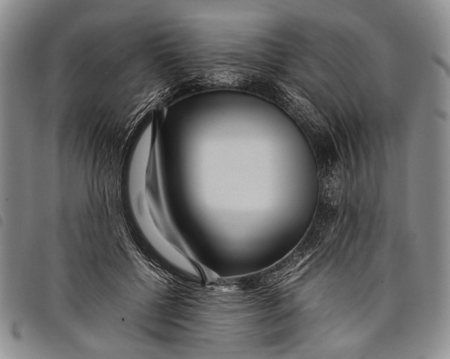 X0000097960552200804141030