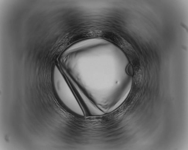X0000097960553200804141030
