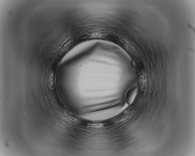 X0000097960554200804141030