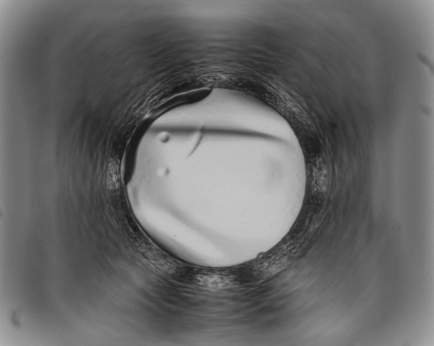 X0000097960561200804141030