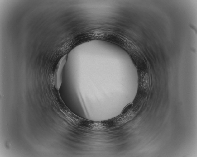 X0000097960562200804141030
