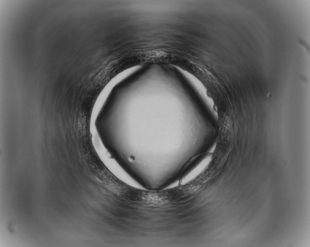 X0000097960565200804141030