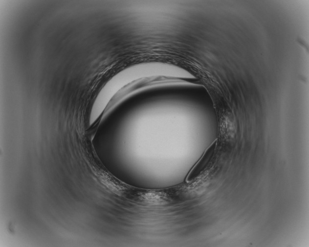X0000097960566200804141030