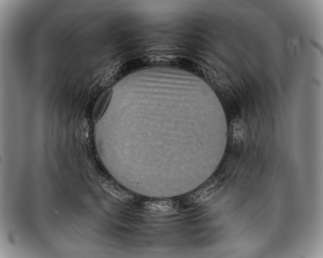 X0000097960567200804141030