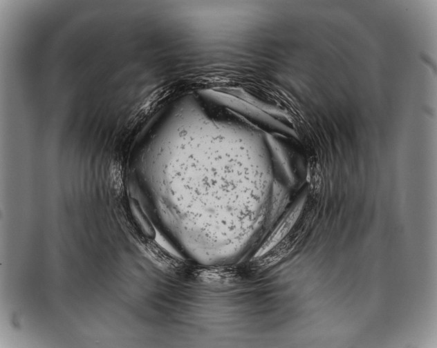 X0000097960568200804141030