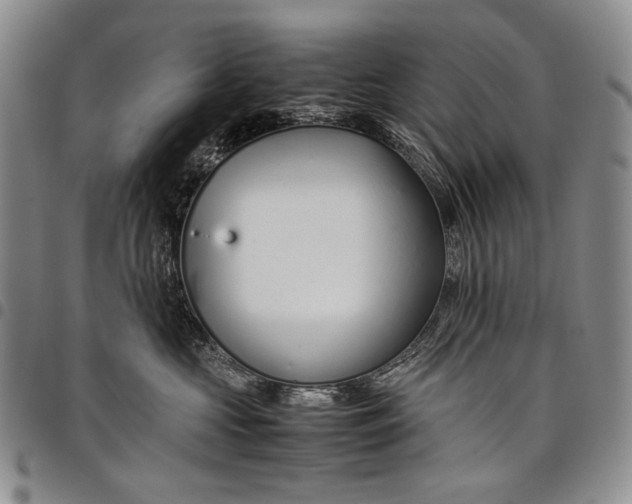 X0000097960573200804141030