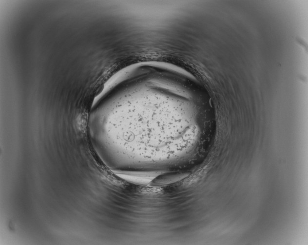 X0000097960576200804141030