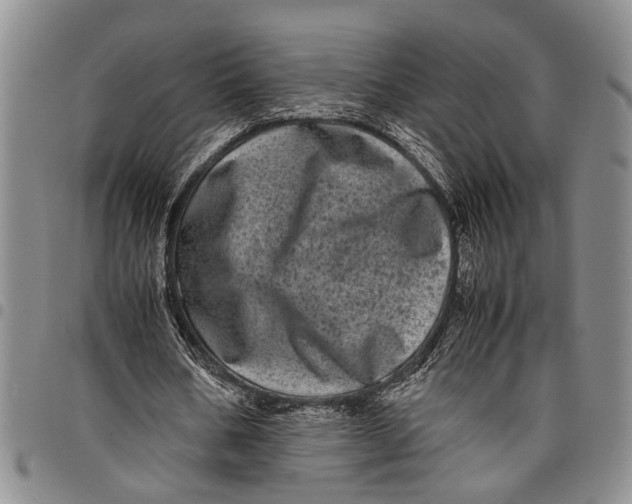 X0000097960578200804141029