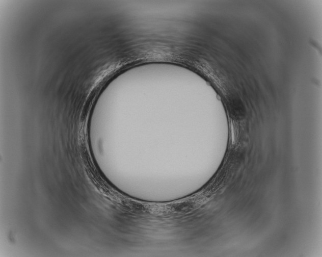 X0000097960579200804141029