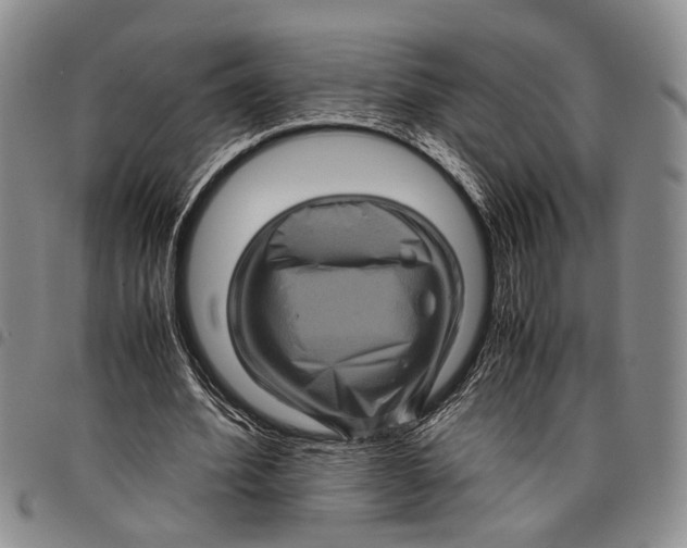X0000097960580200804141029