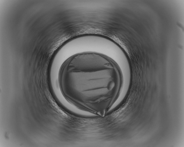 X0000097960581200804141029