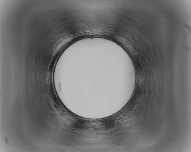 X0000097960583200804141029