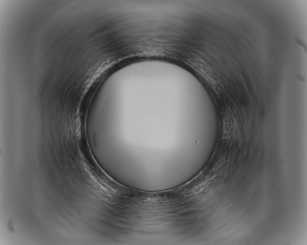 X0000097960584200804141029