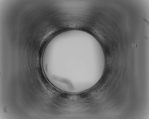 X0000097960587200804141029
