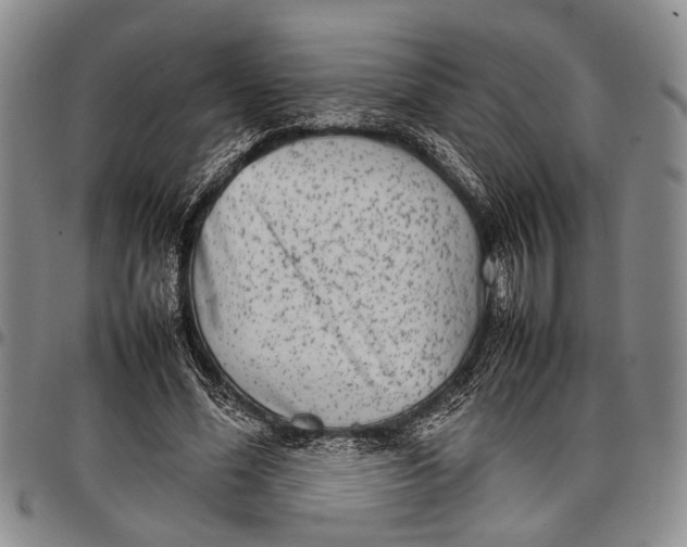 X0000097960588200804141029