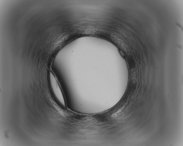 X0000097960589200804141029
