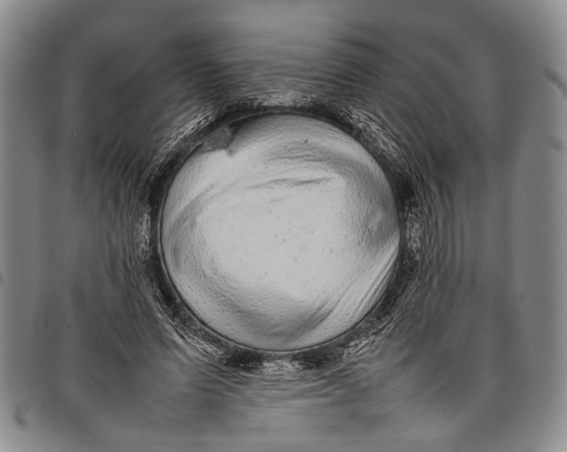X0000097960591200804141029