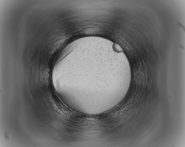X0000097960592200804141029