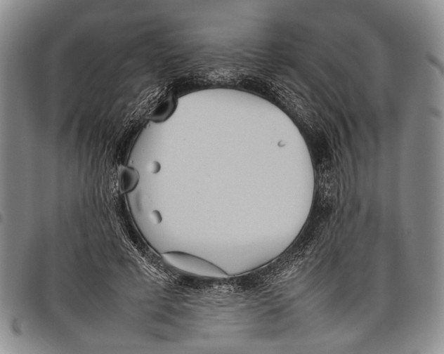 X0000097960593200804141029