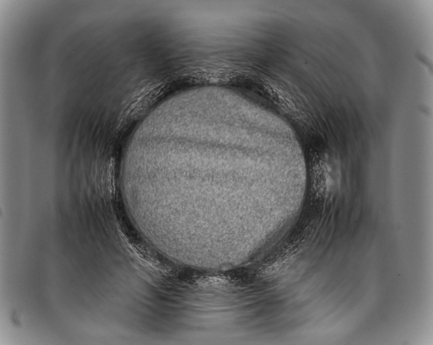 X0000097960594200804141029