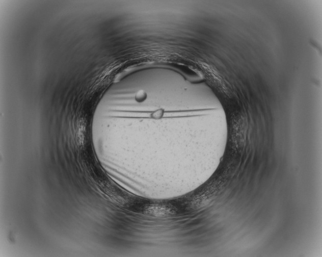 X0000097960596200804141029