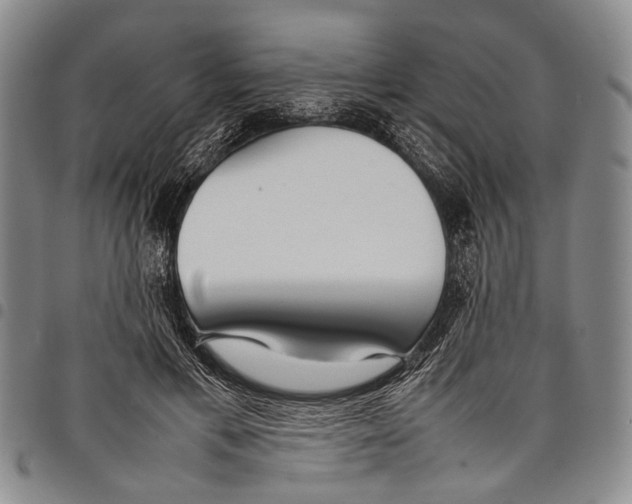 X0000097960597200804141029