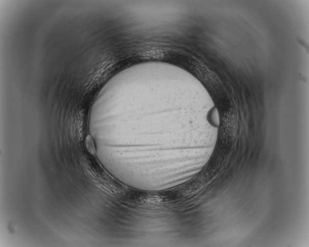 X0000097960600200804141029