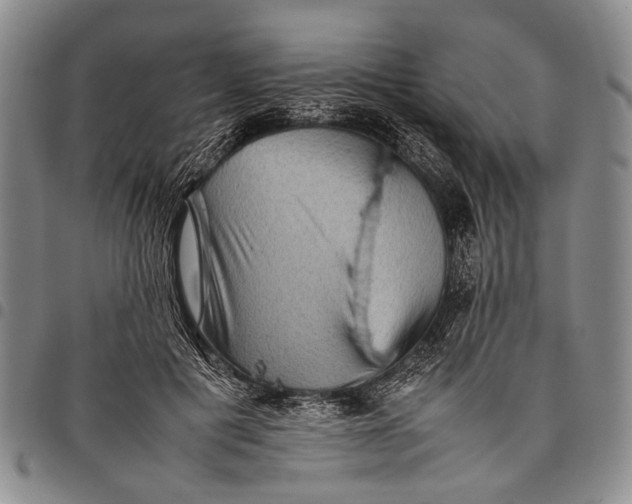 X0000097960601200804141029