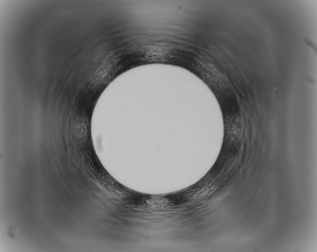 X0000097960603200804141029