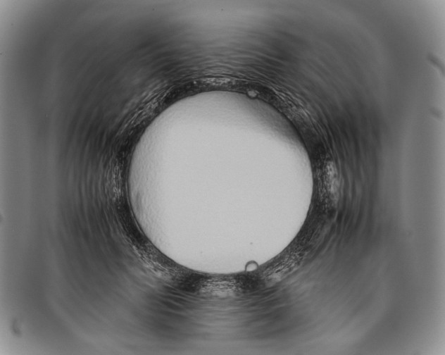 X0000097960606200804141029