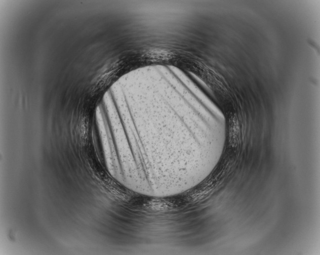 X0000097960608200804141029