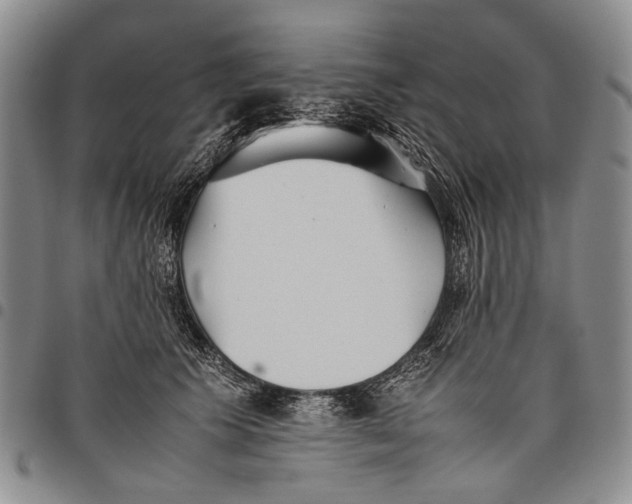 X0000097960609200804141029