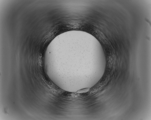 X0000097960612200804141029